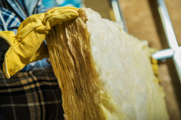 Best Insulation Materials and Products in South Monrovia Island, CA