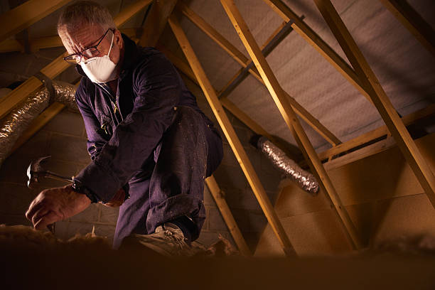 Best Insulation for Specific Applications in South Monrovia Island, CA