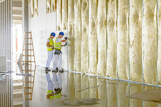 Best Specialty Insulation in South Monrovia Island, CA